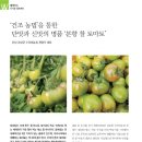 수아네 농장 이미지