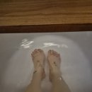 세이안 동교 이미지