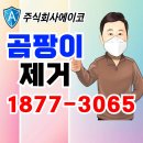 방지 | 곰팡이 방지 벽지 도배 후기