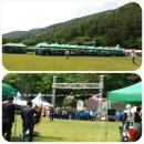 봉황대운동장 이미지