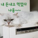 바다향그대로 이미지