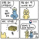 속옷갑부 | 난애기가되고싶어