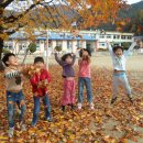 서벽초등학교 이미지