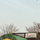 태안 도담빌리지 단체 키즈 갯벌 가족 수영장 이미지