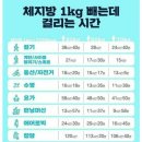 바이오포톤테라피 이미지