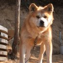 금강농장 이미지