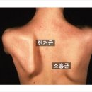 가야대역　 이미지