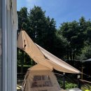 최가소원 이미지