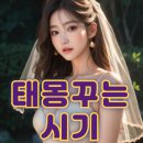 태몽 꾸는 시기, 의미, 종류, 해석 총정리