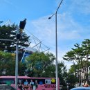 6시내고양이 | DAY6 고양콘 첫콘 후기 고양종합운동장 F5 시야 (+ 카카오T셔틀 수원역 후기)
