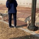 안 수의과병원 이미지