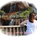 대만 고속철도 THSR 3일패스예매 하고 타이페이에서 가오슝가기