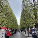 [소소한 야학의 행복] 유럽 여행에서 만나는 인문학 | 메트로폴리탄 미술관 관람기 (24-2)