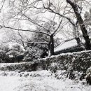 성읍민속마을 이미지