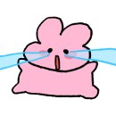 안나의정원