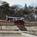 우암 송시열(宋時烈)이 &#39;물푸레&#39; 를 심은 연유