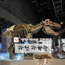 대동4호 | 과천과학관 여름 방학 아이와 가볼만한 곳으로 너무 추천해요!