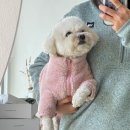 (주)하나은행부속의원 | 1월 마지막주 일상_안과/입주 임시방문/운동/행궁동 work...again