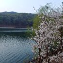 물댄동산 이미지