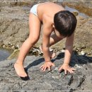 바다스케치 이미지