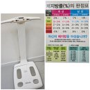 밸런스핏점핑다이어트