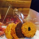 앤트카페 이미지