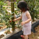 혜인농장 이미지