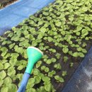 동보농장 이미지