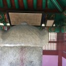 최루백 효자비각 이미지