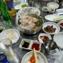 주문진 술집 강원수산 해산물 포차 애견동반 가능한 곳