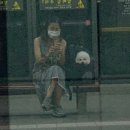 윌리하니 그루밍 이미지