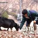 시완농장 네이버블로그