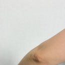 내모메