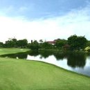 그린벨리 이미지