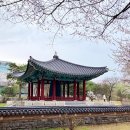 종로-종로-종로-종-094 이미지