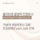 ㈜건성 | 아누아 어성초 토너 후기 분석 | 히알루론산 강화 진짜일까