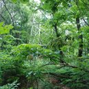 오석농장 이미지