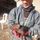 장수원목장 이미지