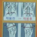 굿피트 이미지