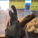 은하목욕탕 이미지