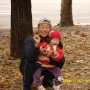 가을동화 이미지