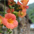 상족암예술촌 이미지