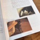 [반려동물종합관리사] 한국애견연맹(KKF) 자격증 시험 독학 후기