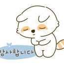 도화백호합기도 이미지