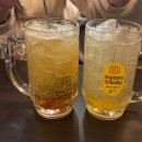 성안마실 | 청주 성안길 술집 성안길 이자카야 성안길 맛집 야키토리동작 청주성안점 방문후기