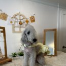 플란다스 힐 이미지