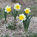 힐링정원 이미지