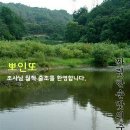 당지 Daum카페