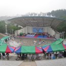 연세대태권도 이미지