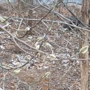 범룡골 약수터 이미지